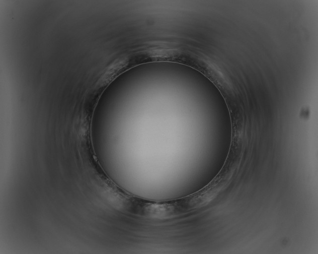 X0000089930277200707131438