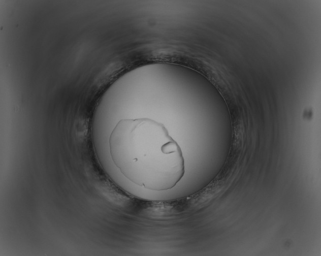 X0000089930278200707131438