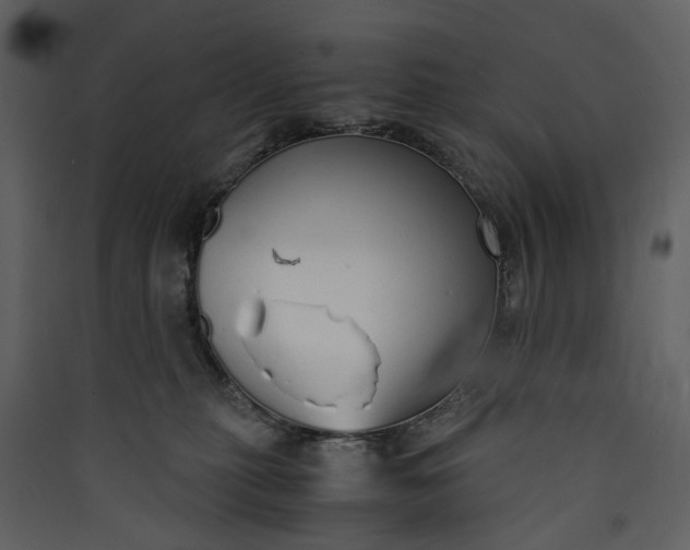 X0000089930279200707131438