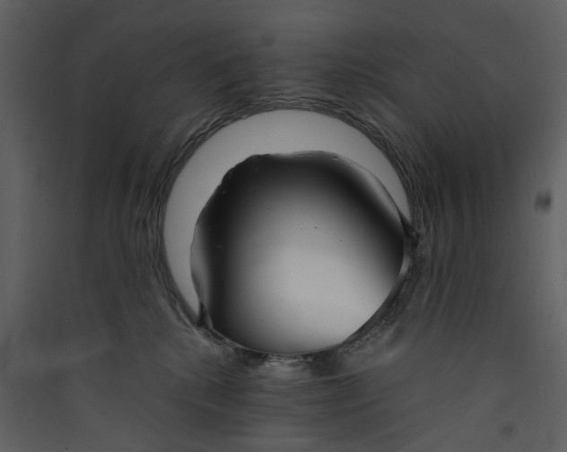 X0000089930280200707131438