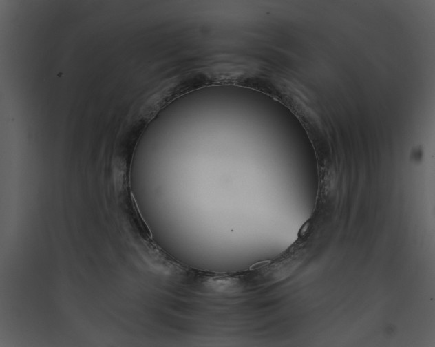 X0000089930283200707131438