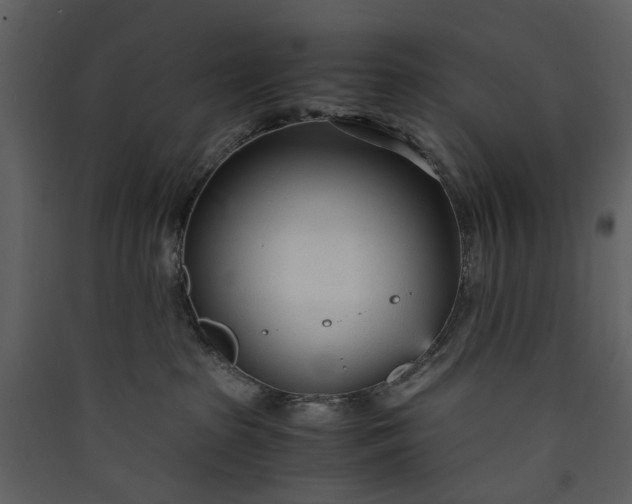 X0000089930285200707131438