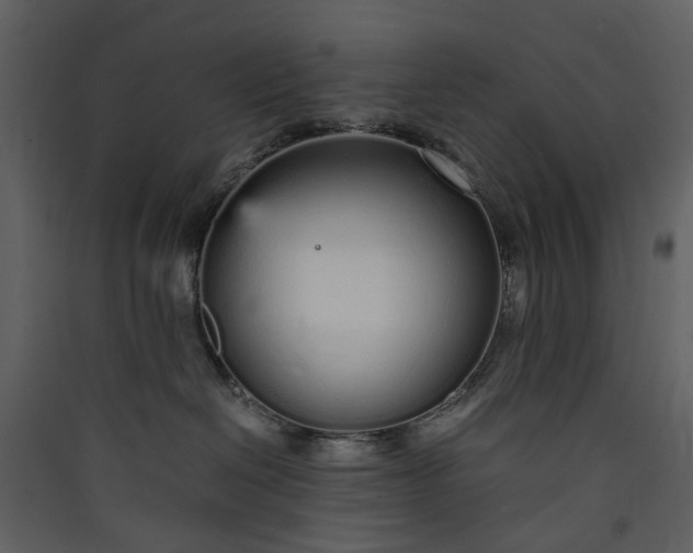 X0000089930286200707131438