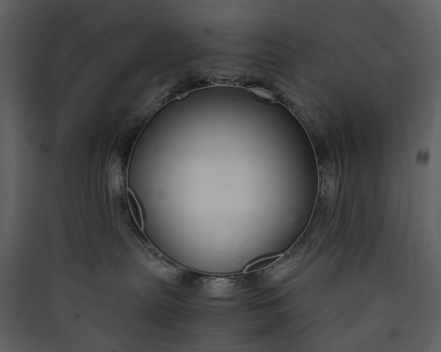 X0000089930287200707131438