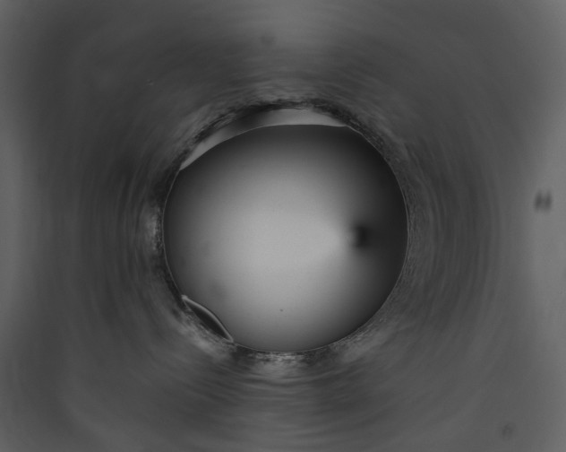 X0000089930288200707131438