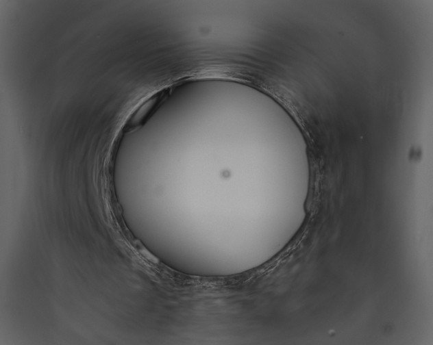 X0000089930289200707131438