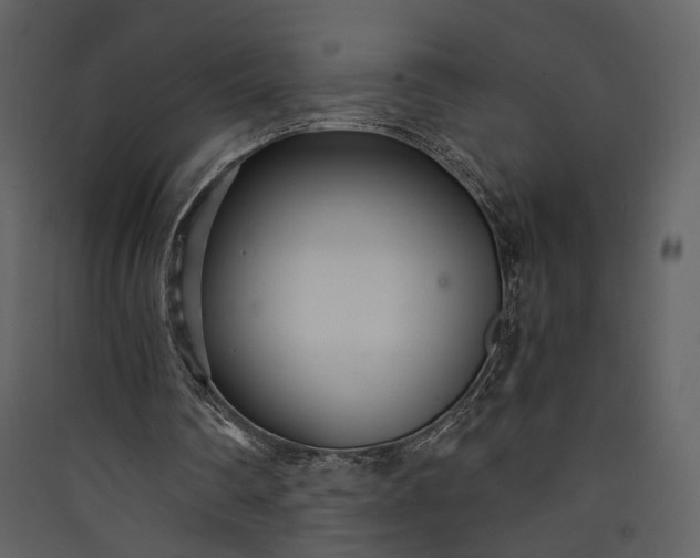 X0000089930290200707131438