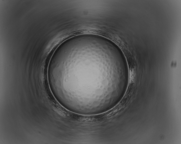 X0000089930291200707131438