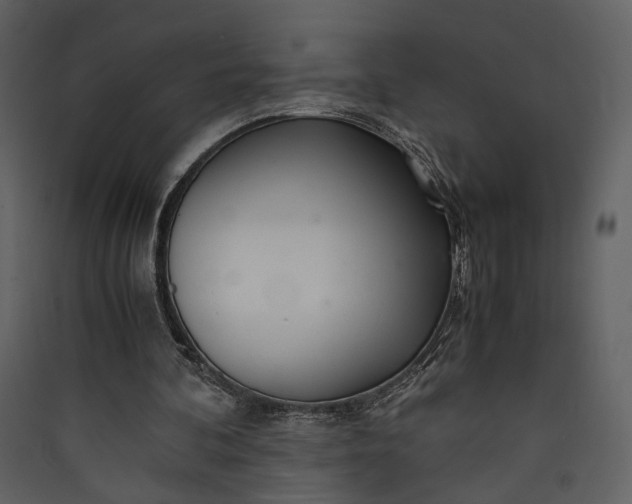 X0000089930292200707131438