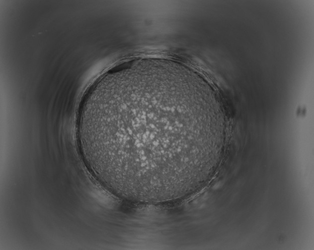 X0000089930293200707131438