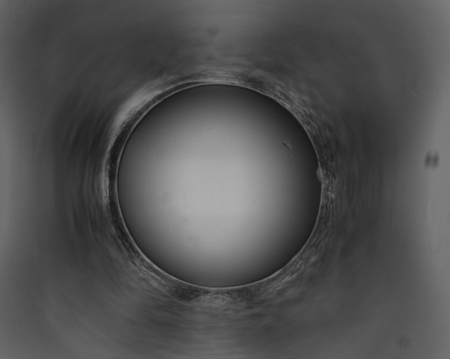 X0000089930294200707131438