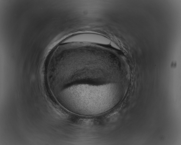 X0000089930295200707131438