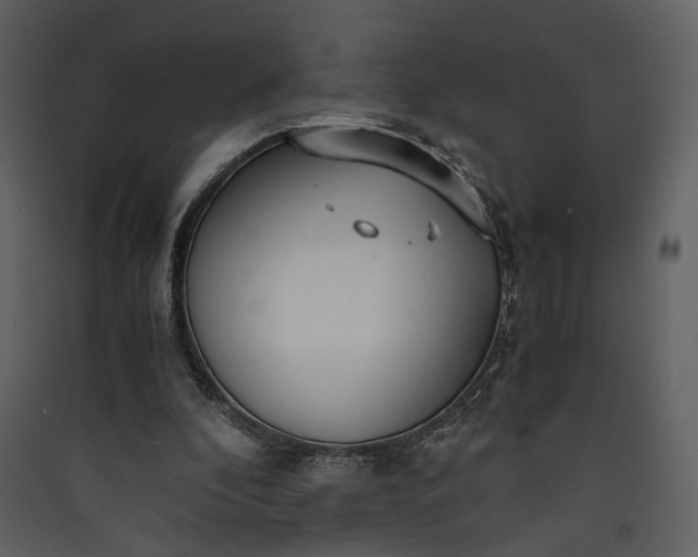 X0000089930296200707131438