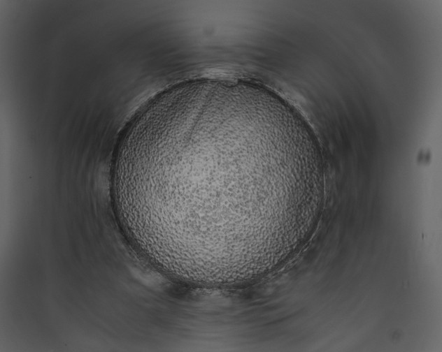 X0000089930297200707131438