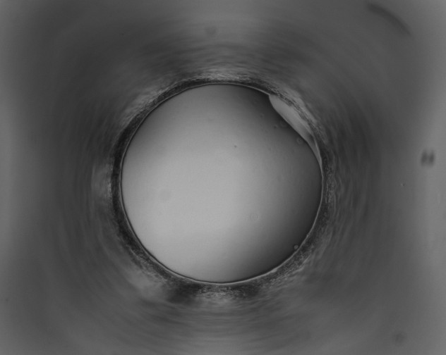 X0000089930299200707131438