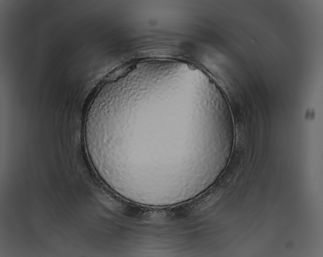 X0000089930301200707131438