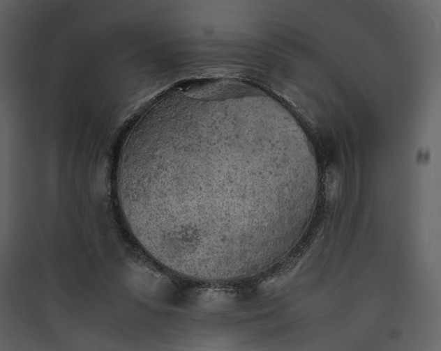 X0000089930303200707131438