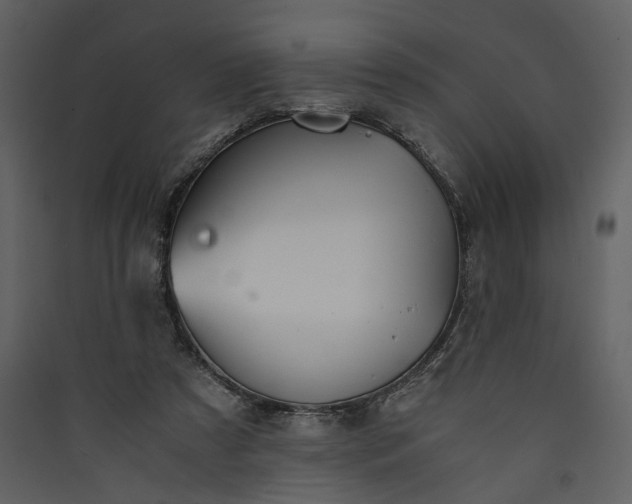 X0000089930305200707131437