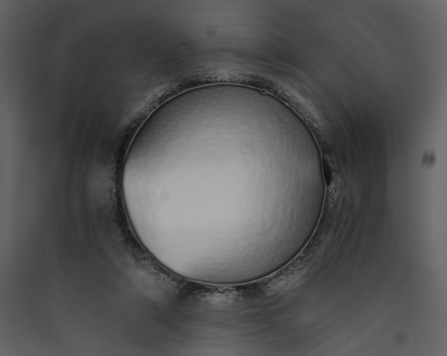 X0000089930306200707131437