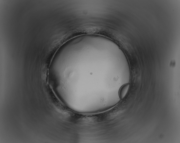 X0000089930307200707131437