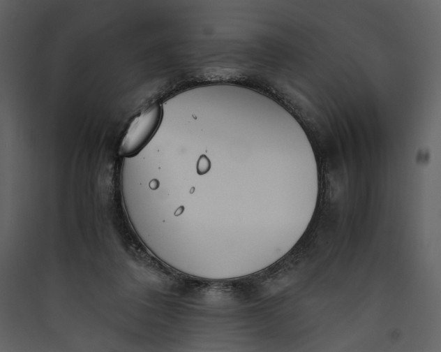 X0000089930308200707131437