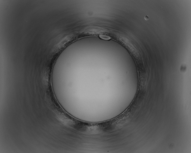 X0000089930309200707131437