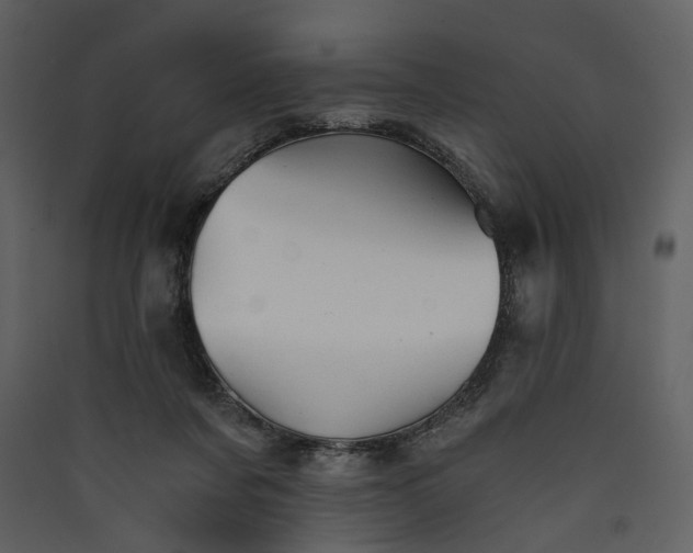 X0000089930311200707131437