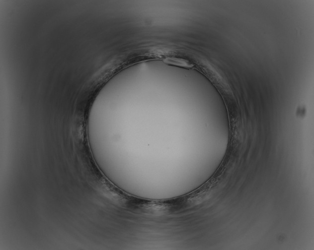 X0000089930313200707131437