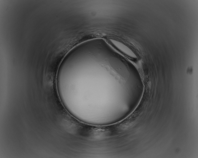 X0000089930315200707131437