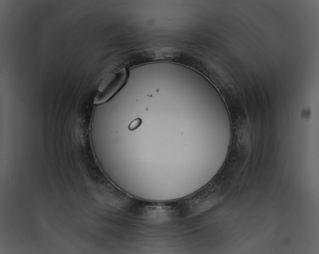 X0000089930316200707131437