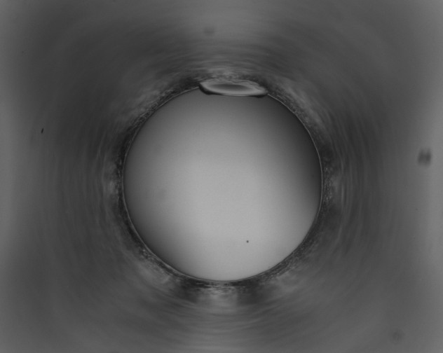 X0000089930317200707131437