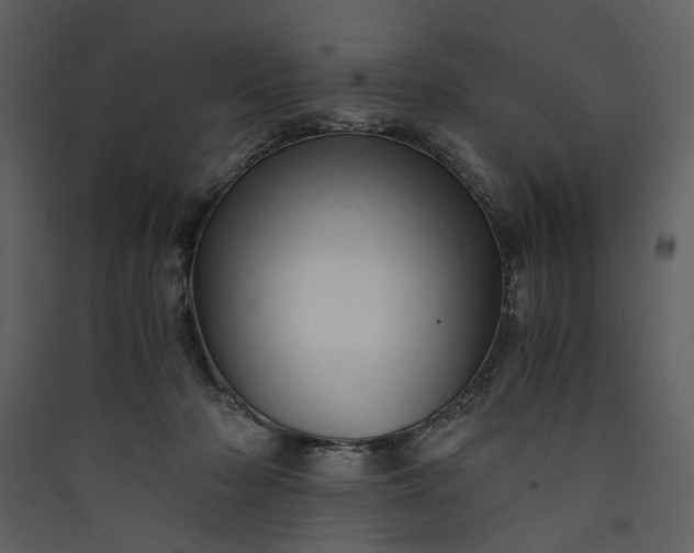 X0000089930318200707131437