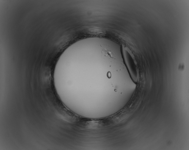 X0000089930320200707131437