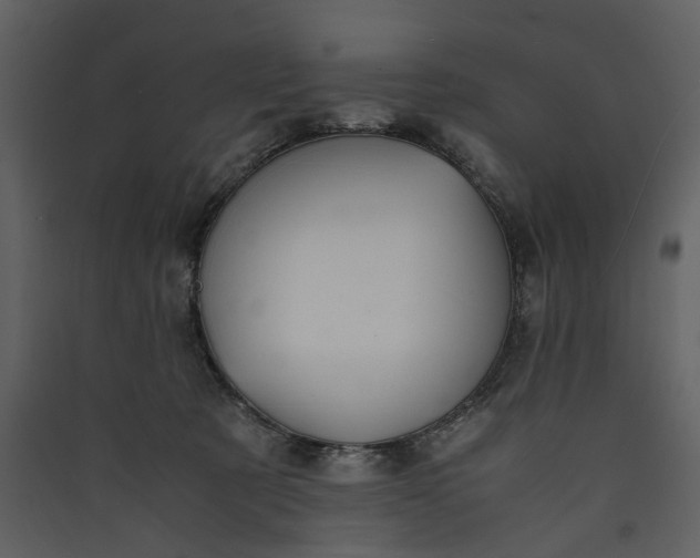 X0000089930321200707131437