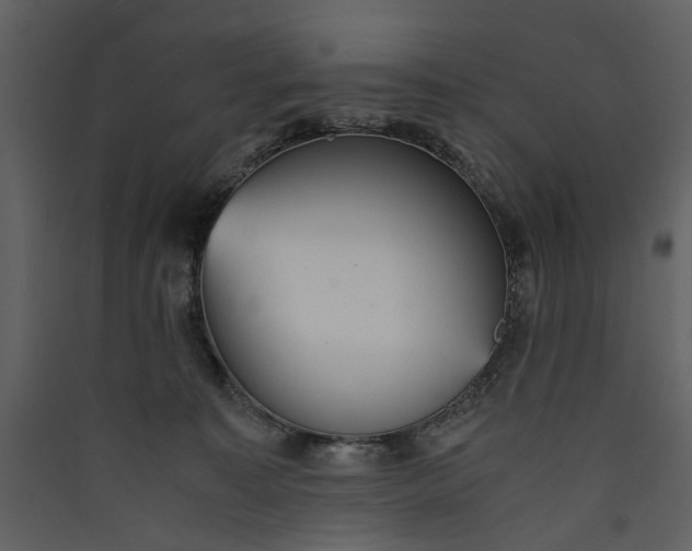 X0000089930323200707131437