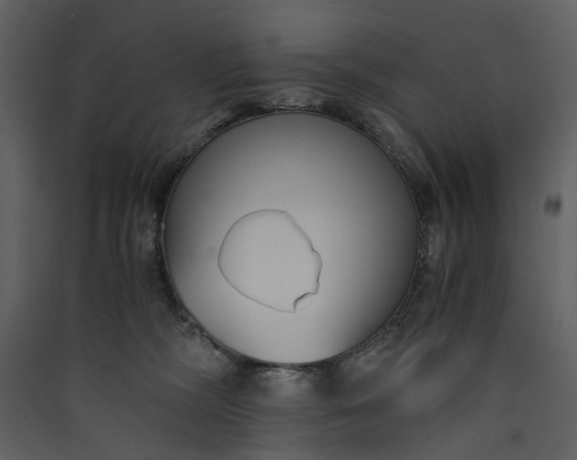 X0000089930326200707131437