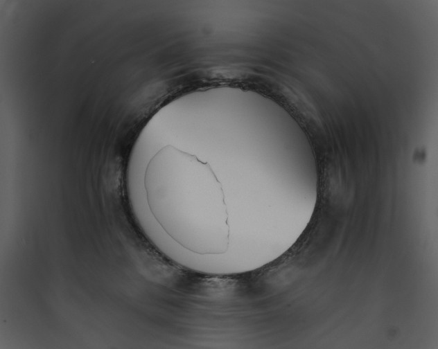 X0000089930328200707131437