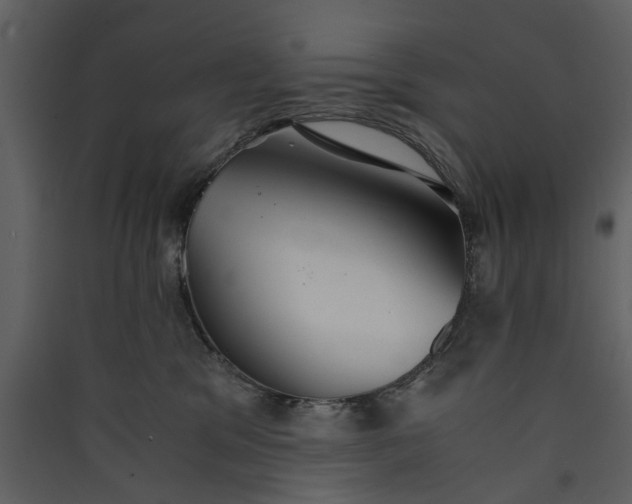 X0000089930329200707131437