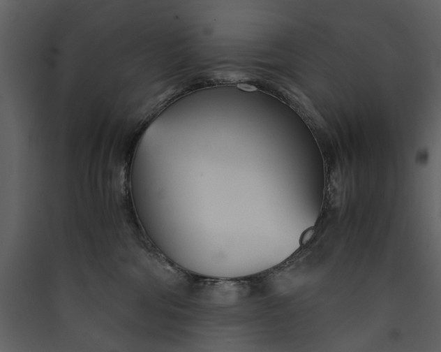 X0000089930330200707131437