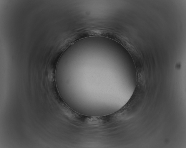 X0000089930331200707131437