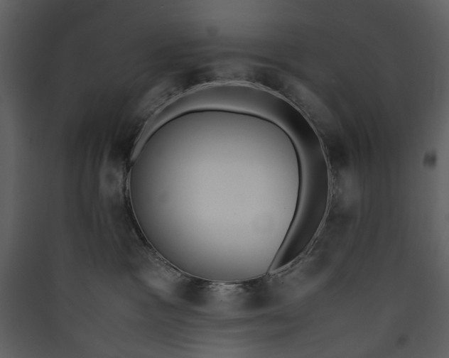 X0000089930333200707131437