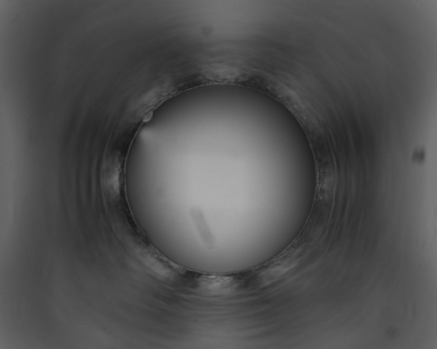 X0000089930334200707131437