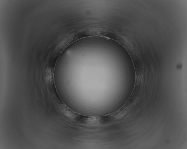 X0000089930335200707131437