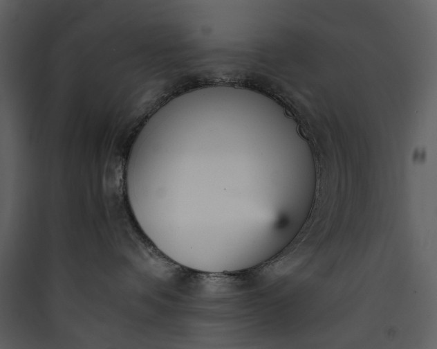 X0000089930336200707131437