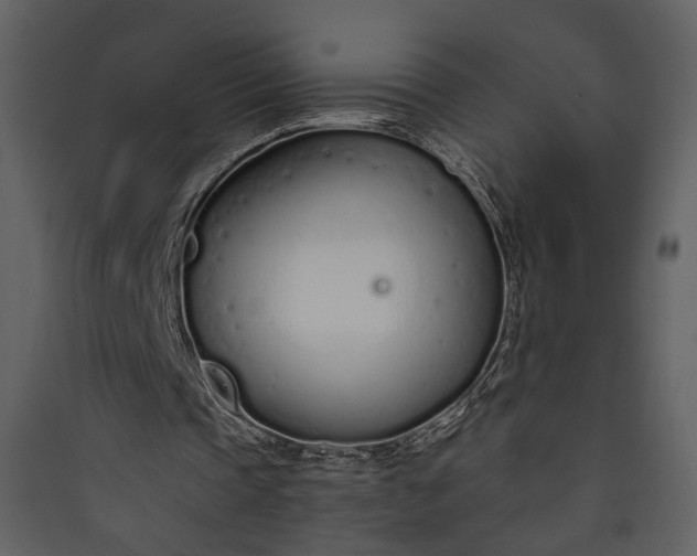 X0000089930337200707131436