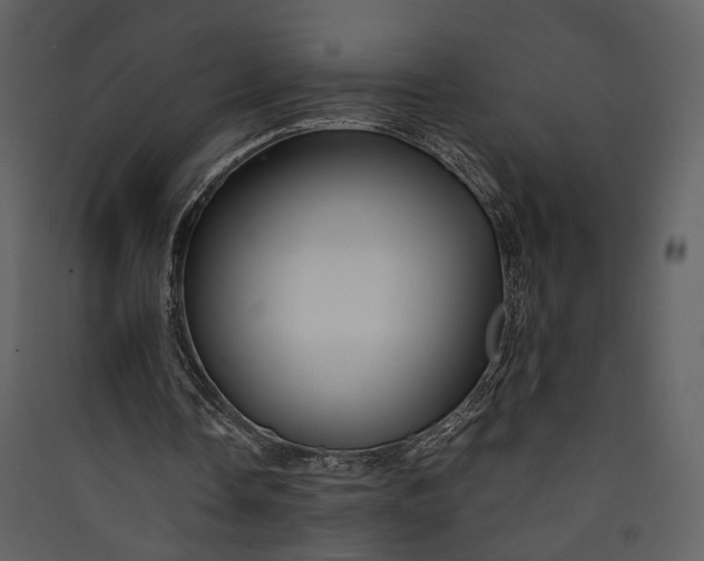 X0000089930338200707131436