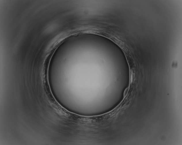 X0000089930339200707131436