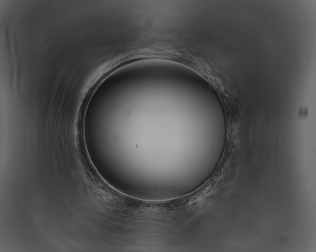 X0000089930340200707131436