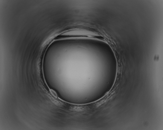 X0000089930341200707131436