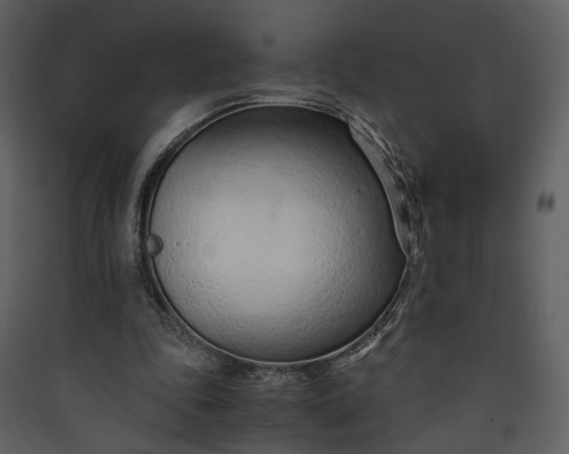 X0000089930343200707131436